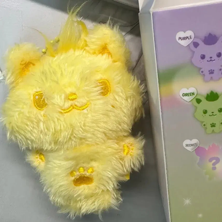 컬러위시돌 시오닝