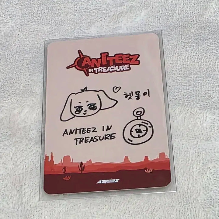 애니티즈 트레저 팝업 여상 포토 패키지