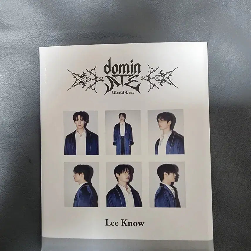 Stray Kids 스트레이키즈 도미노 Lee Know 폴라로이드