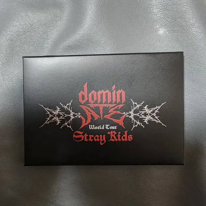 Stray kids 2024 Domin Ate Japan Store PC