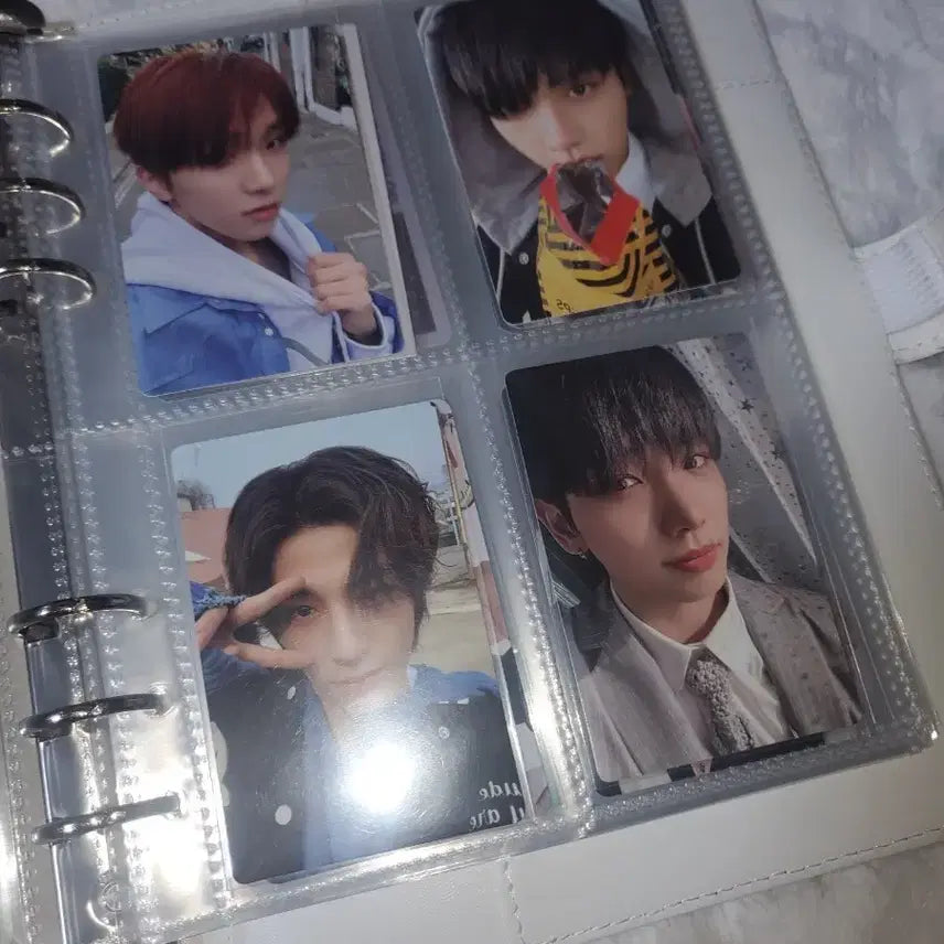 보넥도포카 일괄