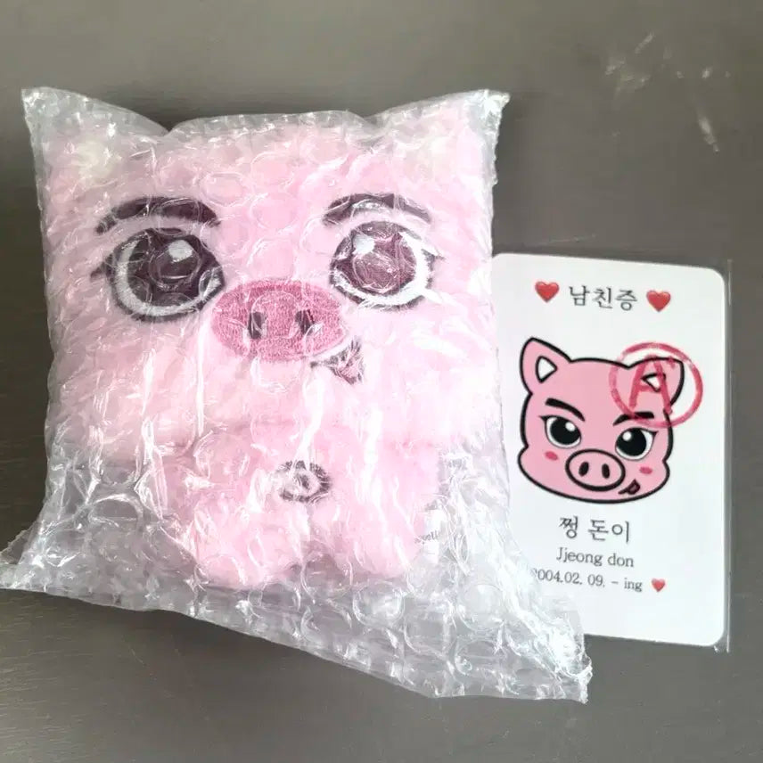 엔하이픈 양정원 쩡돈이 인형 판매