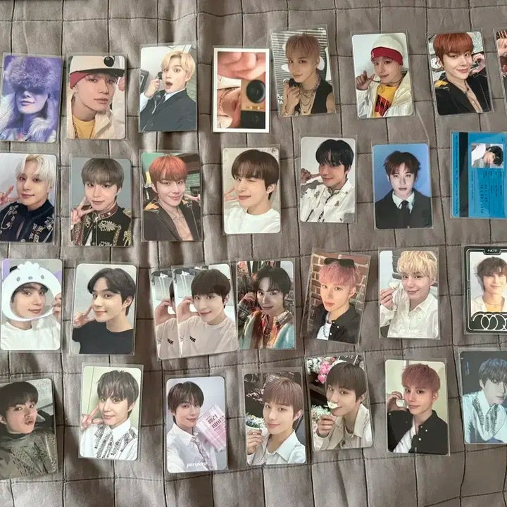 엔시티 정우 포카 일괄 양도