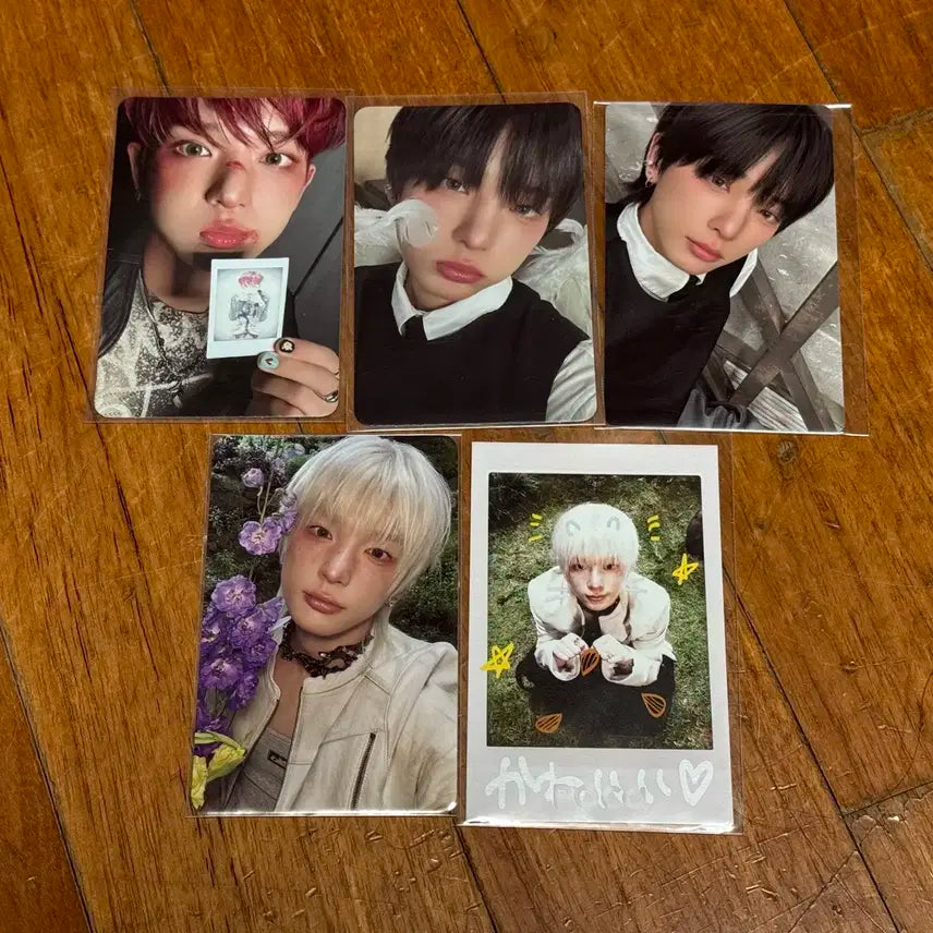 앤팀 하루아 포토카드 포카 일괄 세트