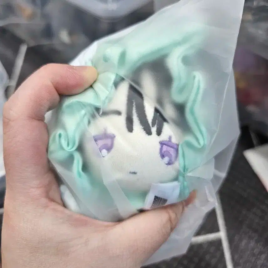 에이스테 테루테루보즈 수아