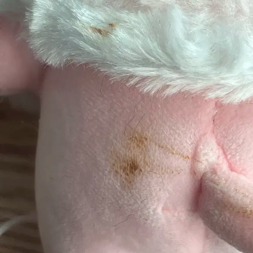 엑소 백현 인형