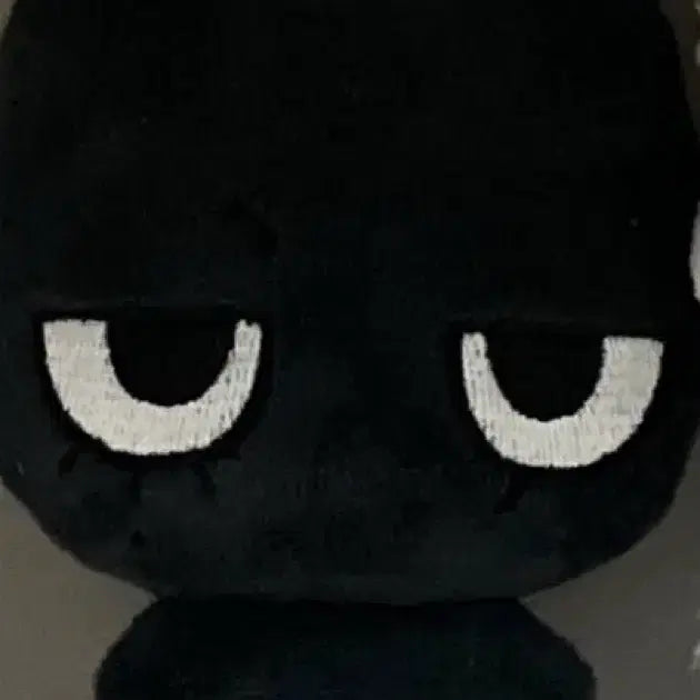 보이넥스트도어 태산 인형 태냐코 원가양도