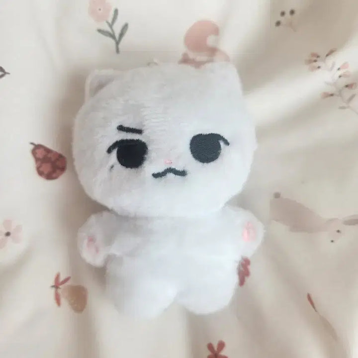 투바투 연준 인형 웅냥쭌 급처 탈덕처분