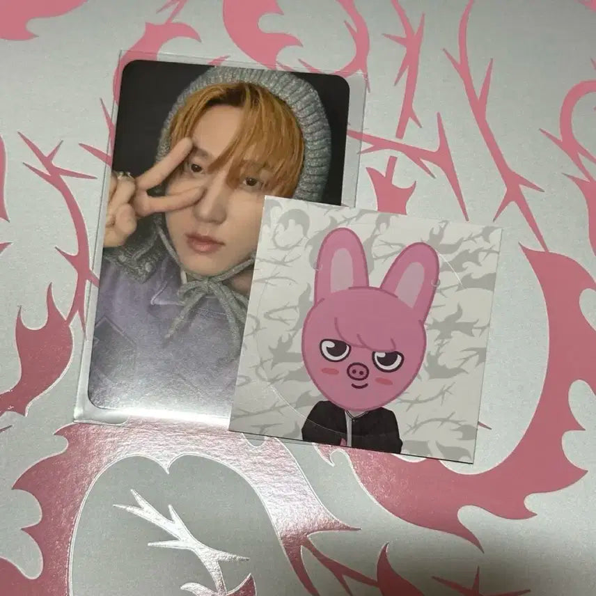 스키즈 팝업 창빈 포카 +돼끼 스티커 일괄 skz