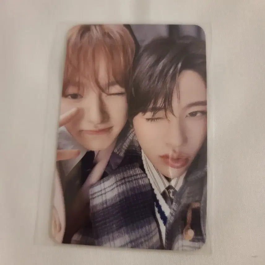 엔시티위시 일본 일투 회장 한정 앨범 포카 유닛포카 양도 시온 사쿠야