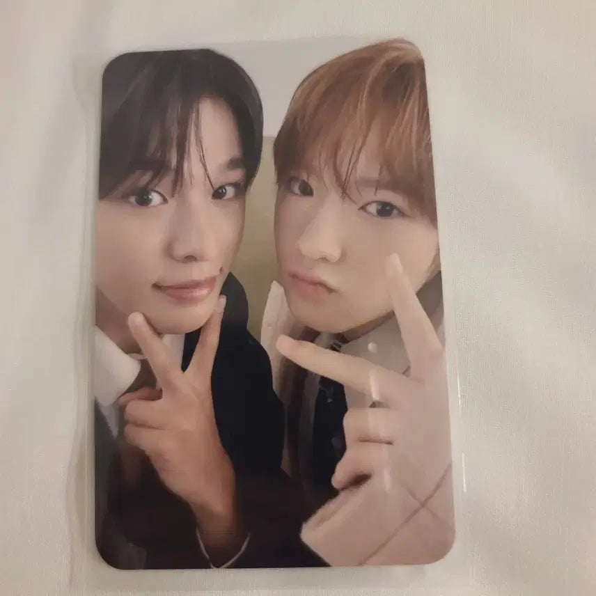 엔시티위시 일본 일투 회장 한정 앨범 포카 유닛포카 양도 리쿠 사쿠야