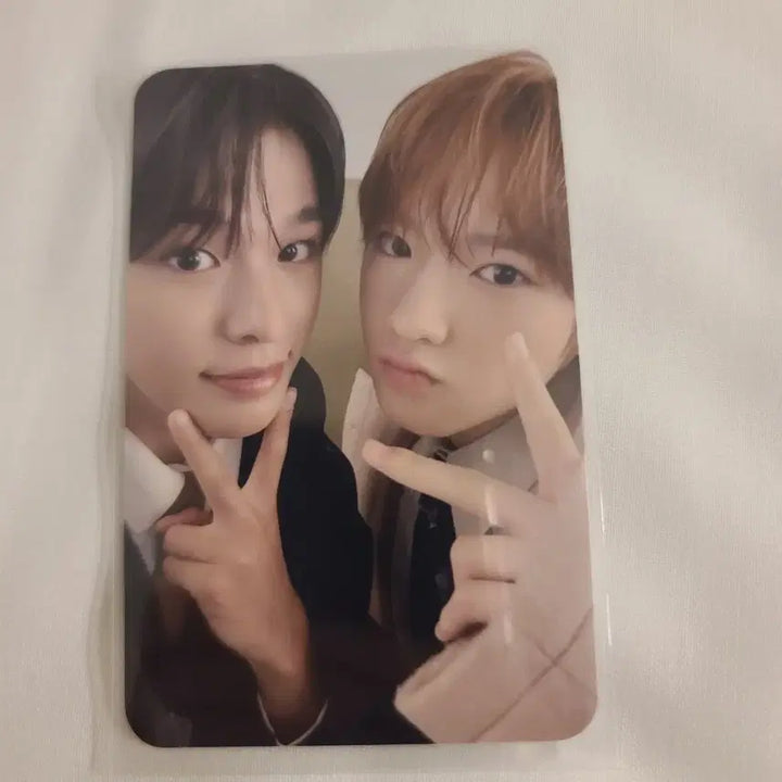 엔시티위시 일본 일투 회장 한정 앨범 포카 유닛포카 양도 리쿠 사쿠야