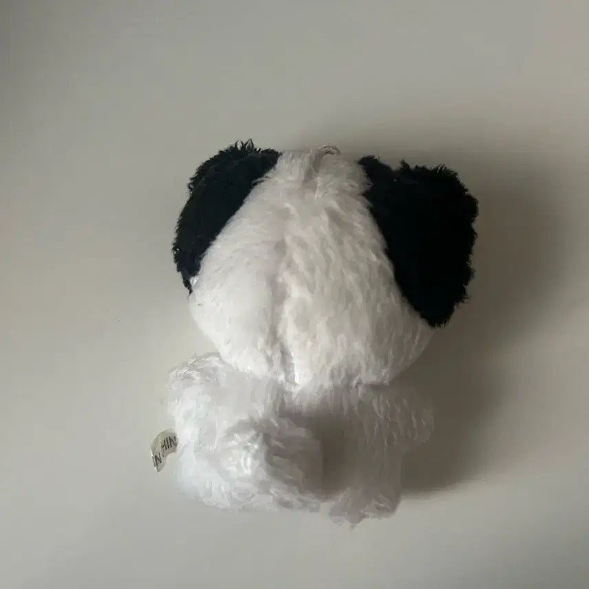 스테이씨 미니사 판매