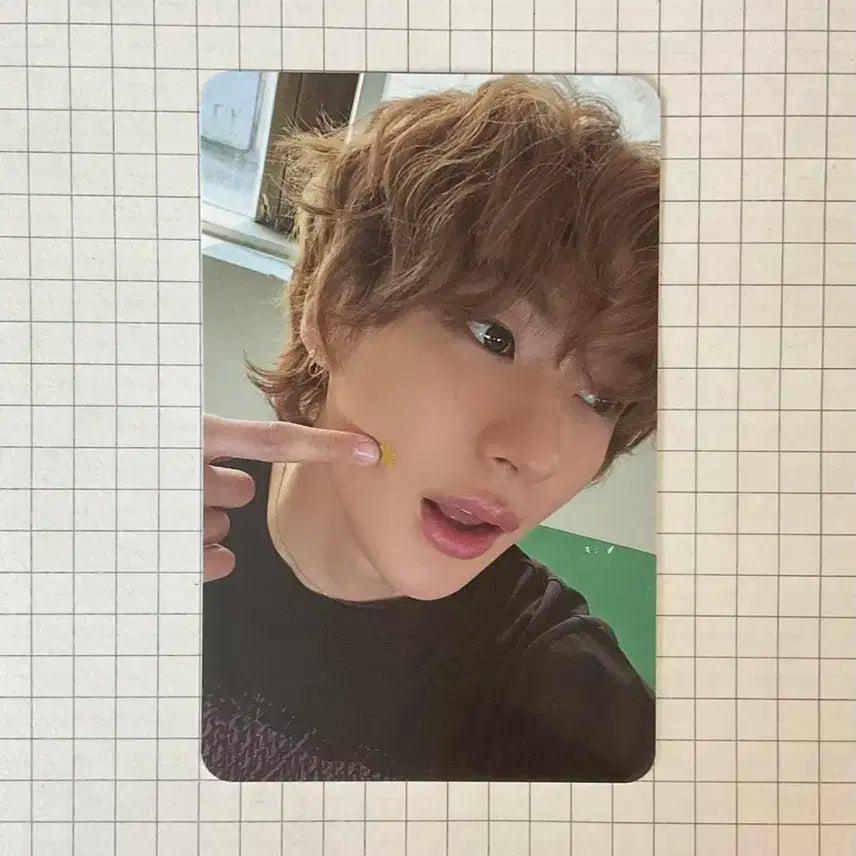 라이즈 앤톤 콜렉트북 포토카드