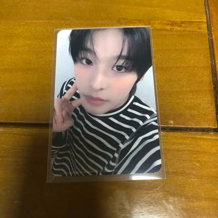 엔시티 위시 엔위시 리쿠 WISH 팬플리 포카 양도 판매