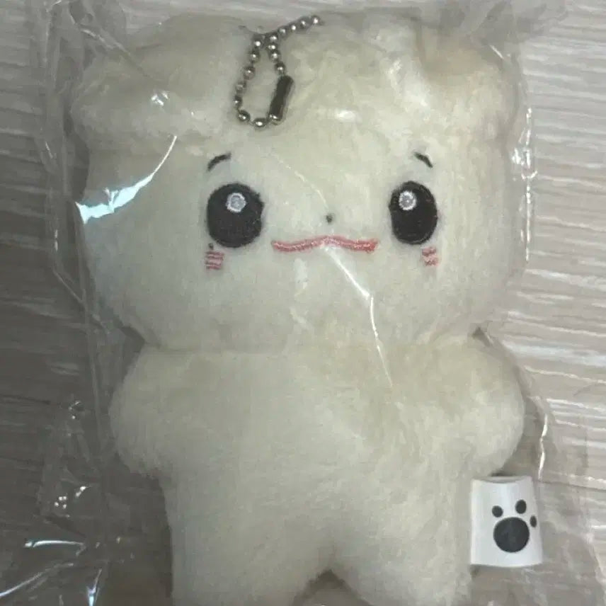 제로베이스원 솜베원 솜태래