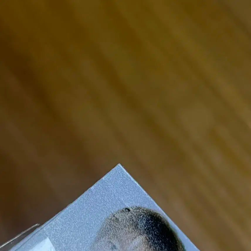 엔시티 위시 스오위 스쿨오브위시 유우시 증사 포카 키링