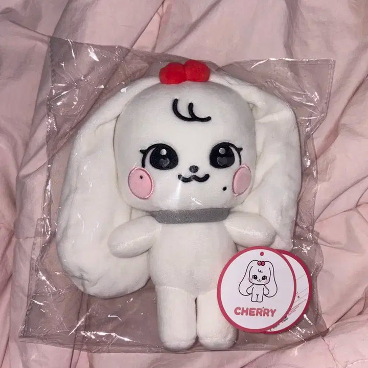 미니브 체리 인형 팝니다 탈덕이라 덤 많이 드려요