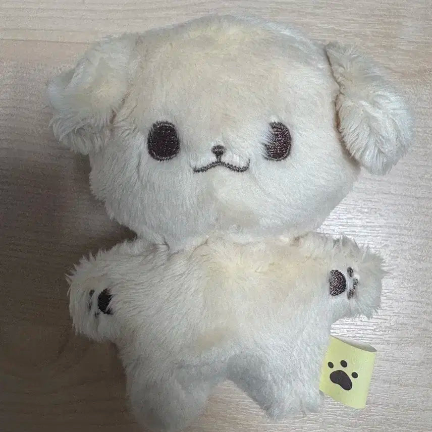 엔시티드림 제노 콩젠