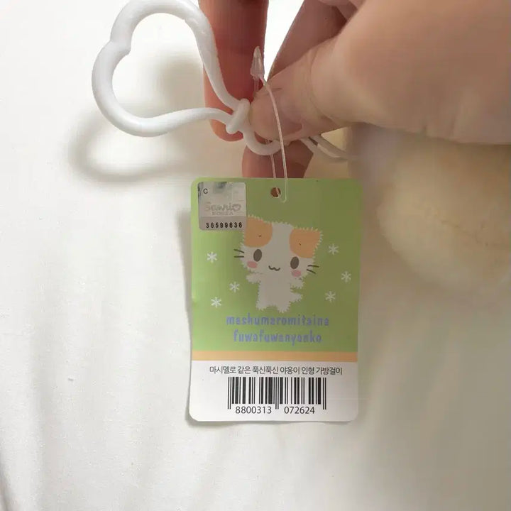 유우시 닮은 인형 팝니다!!