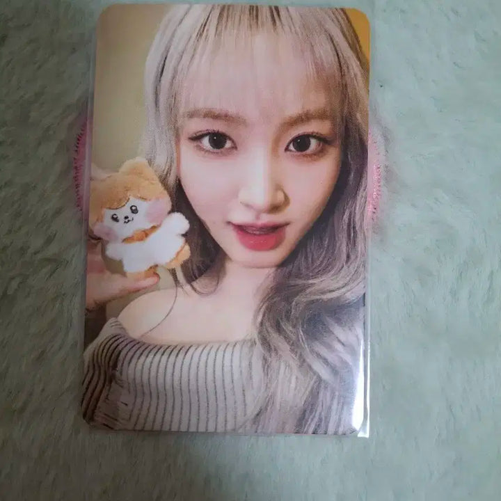 아이브 인형리즈 포카