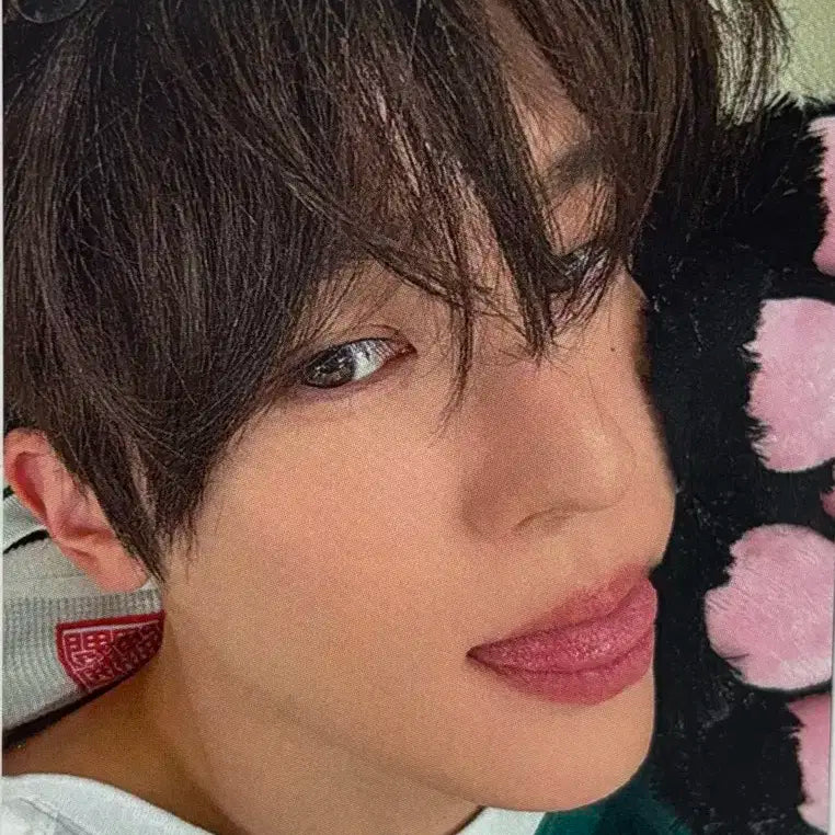 엔시티위시 컬러 시온 인터아시아 럭키드로우 포카