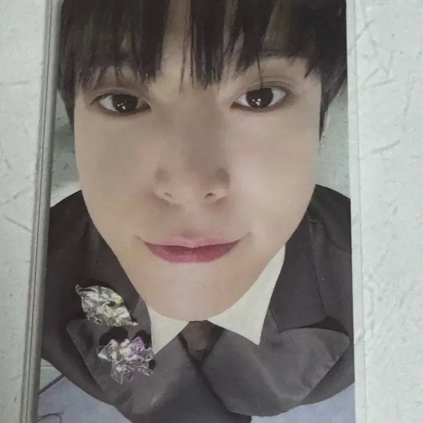 엔시티일이칠 페이보릿 클래식 도영