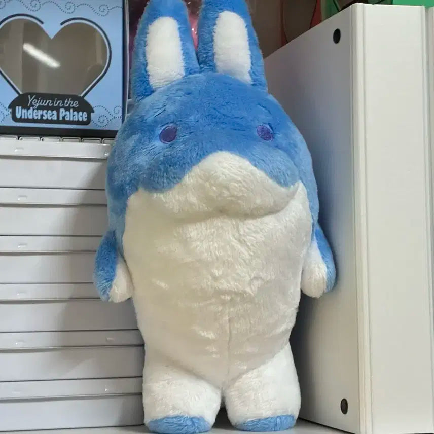 플레이브 예준 속성 돌끼