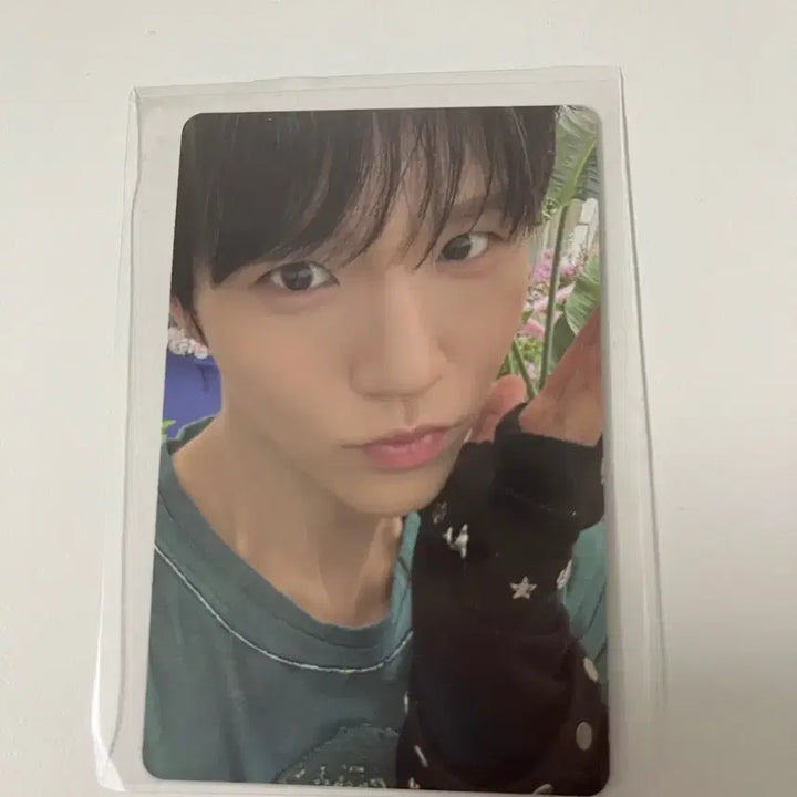 엔시티 위시 컬러 쥬얼 버전 재희포카