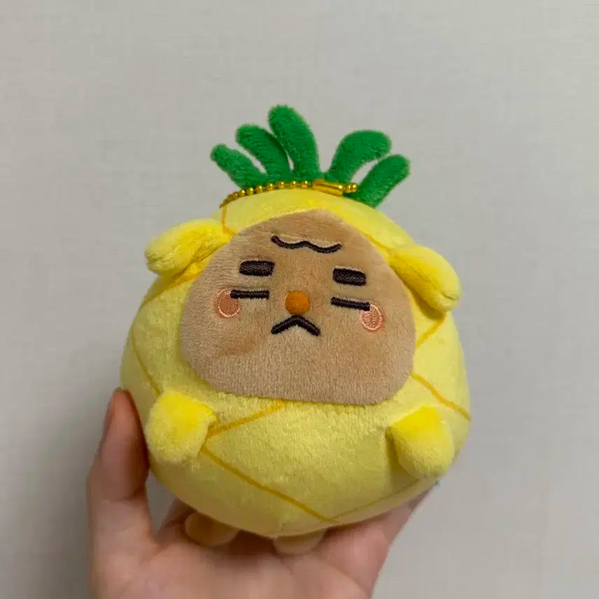 크래비티 민희 인형 강몽이 파인애플 파몽이