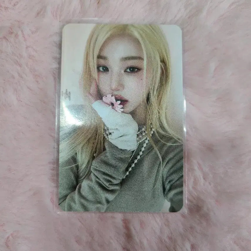 IVE아이브 MINE마인 포카 -원영-