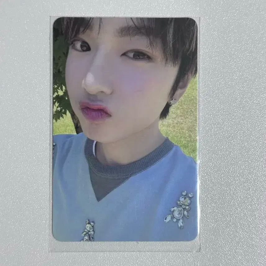 엔시티위시 송버드 사쿠야 포카