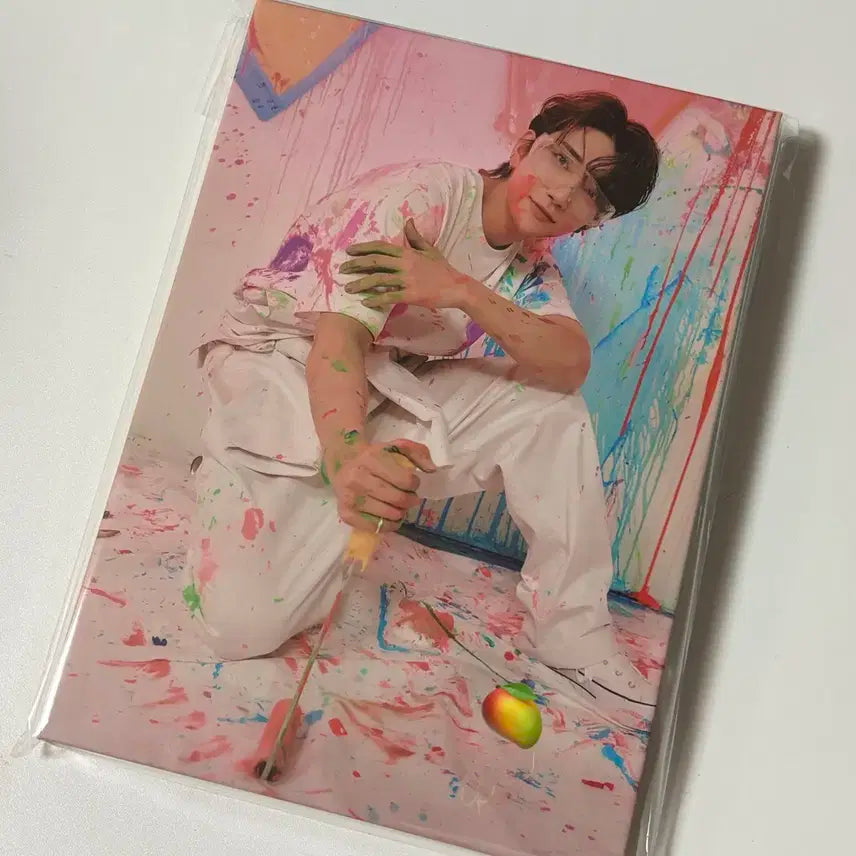 조슈아) 세븐틴 페더썬 캐럿반 미개봉