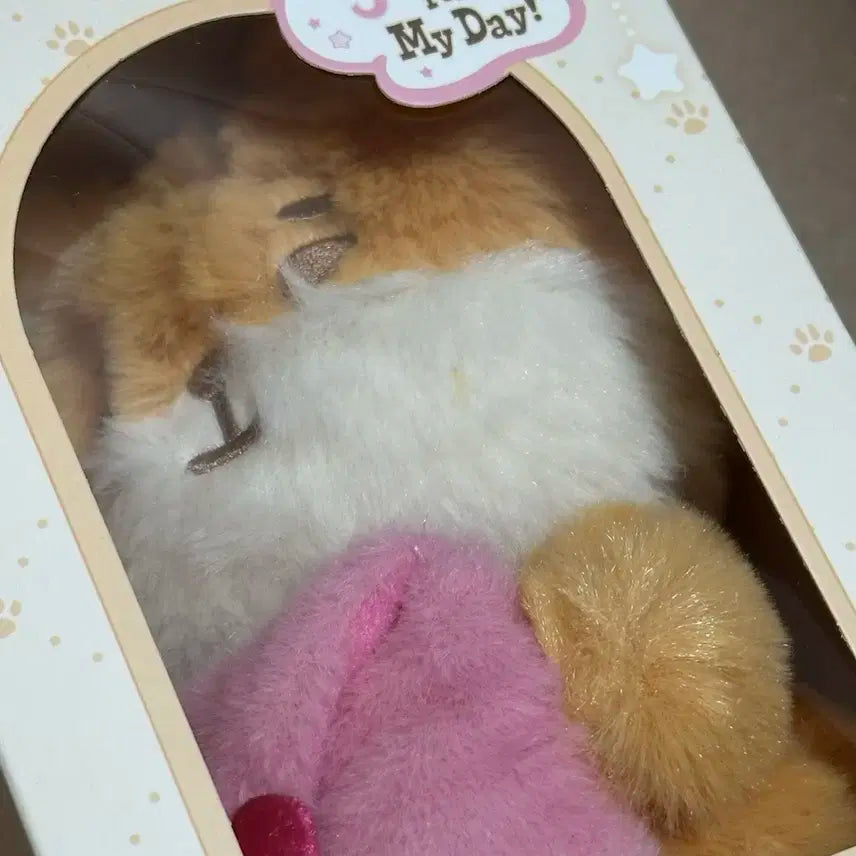 (미개봉) 데이식스 쁘띠멀즈 보이스 키링 - 케