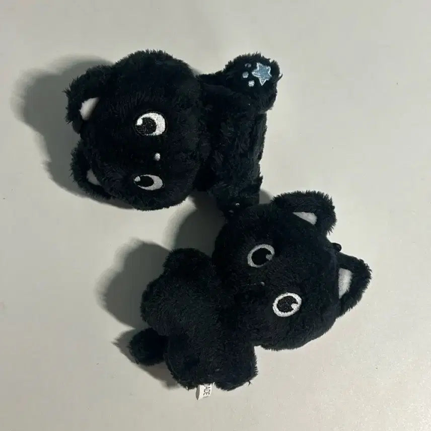 라이즈 냥삐 앉은냥삐 일괄양도