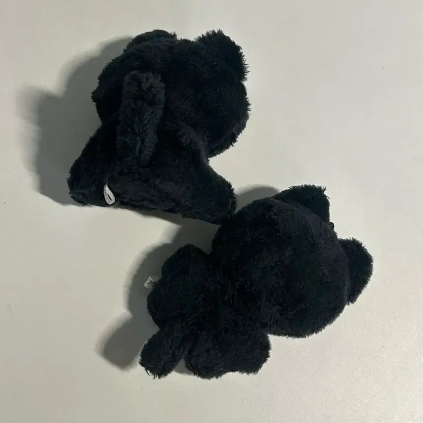 라이즈 냥삐 앉은냥삐 일괄양도