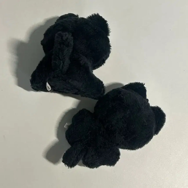 라이즈 냥삐 앉은냥삐 일괄양도