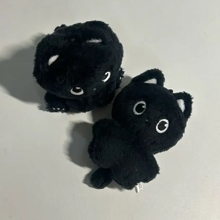 라이즈 냥삐 앉은냥삐 일괄양도