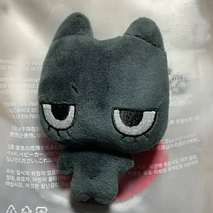 보넥도 보이넥스트도어 태산 인형 태냐코