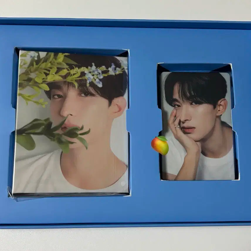 도겸) 세븐틴 베스트앨범 디어버전 캐럿반 미개봉