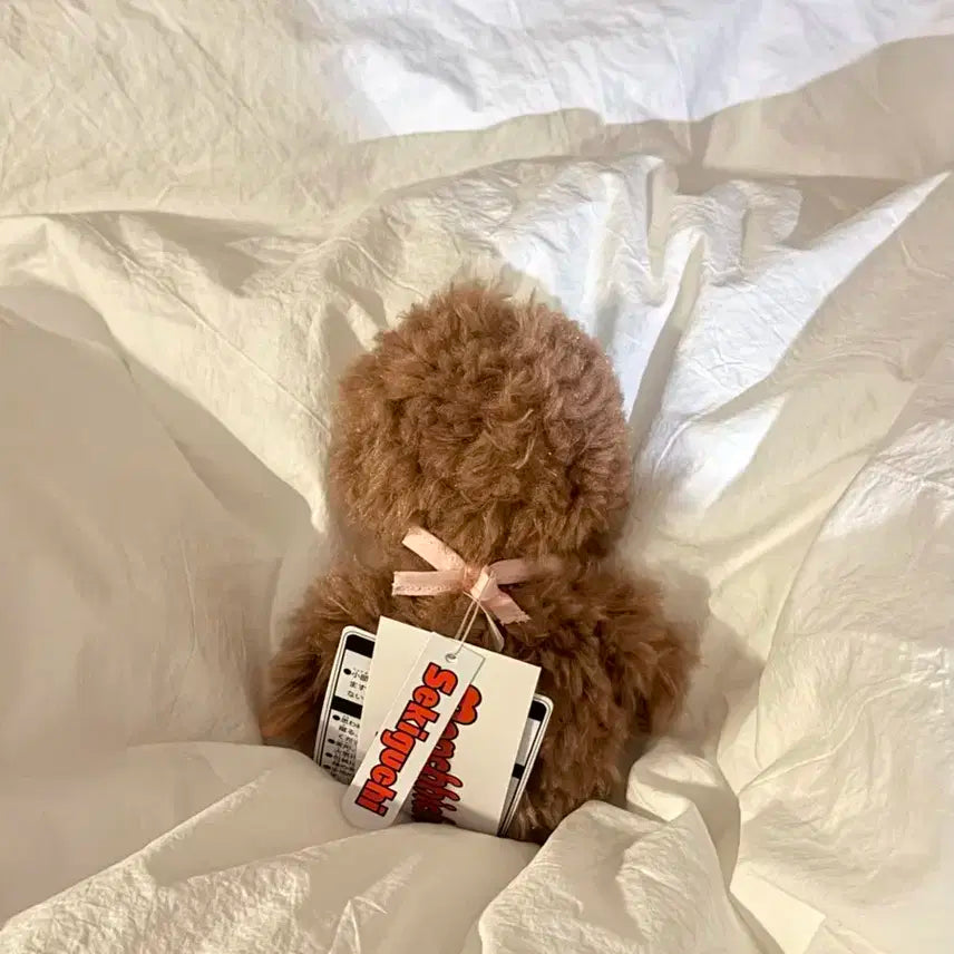 한정 모코모코 스위트 브라운 몬치치 핑크