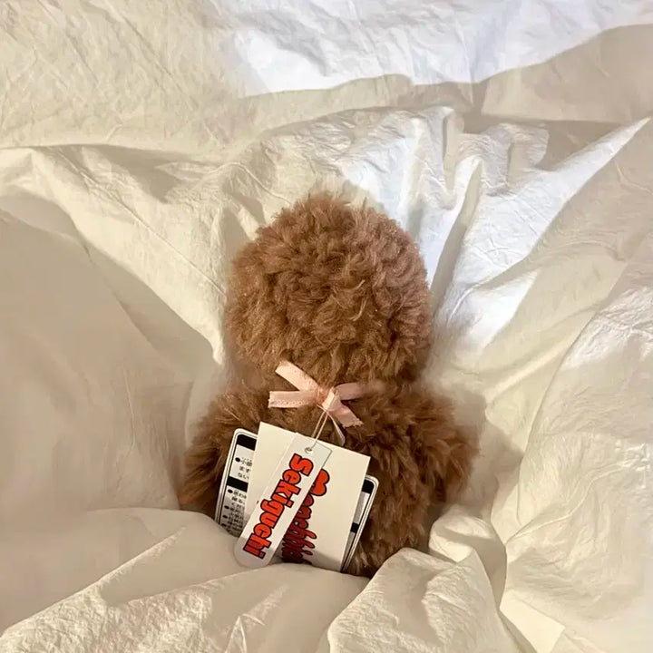 한정 모코모코 스위트 브라운 몬치치 핑크