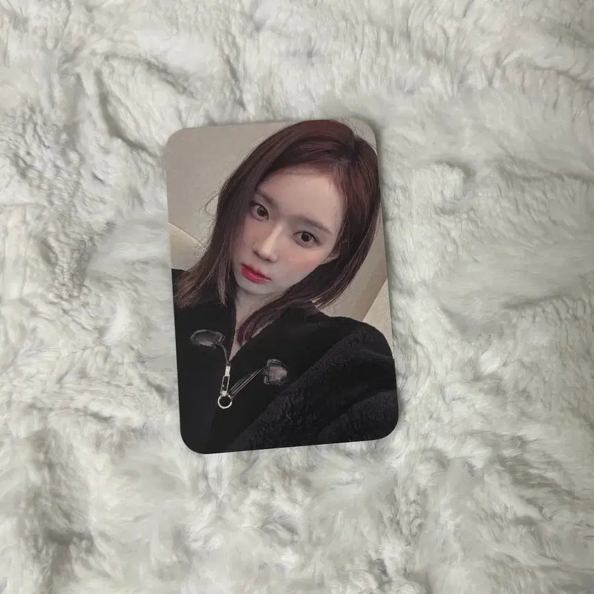 드라마 아스테 윈터 양도