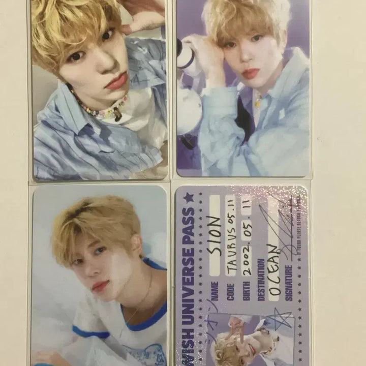 엔시티 위시 2025 시즌그리팅 시온 nct wish sion