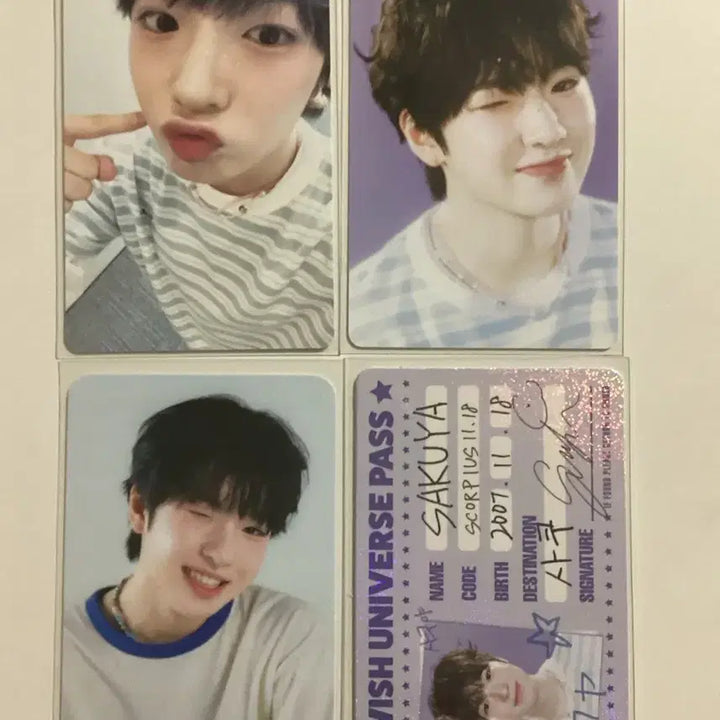 엔시티 위시 2025 시즌그티팅 사쿠야 nct wish sakuya