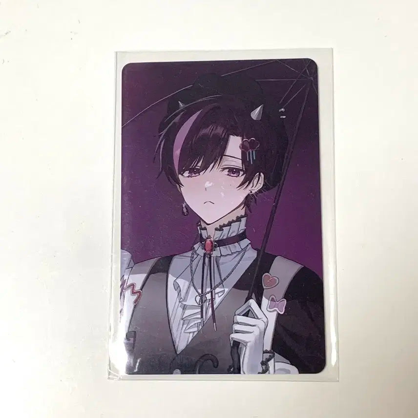 오토레이니 키비주얼 포토카드