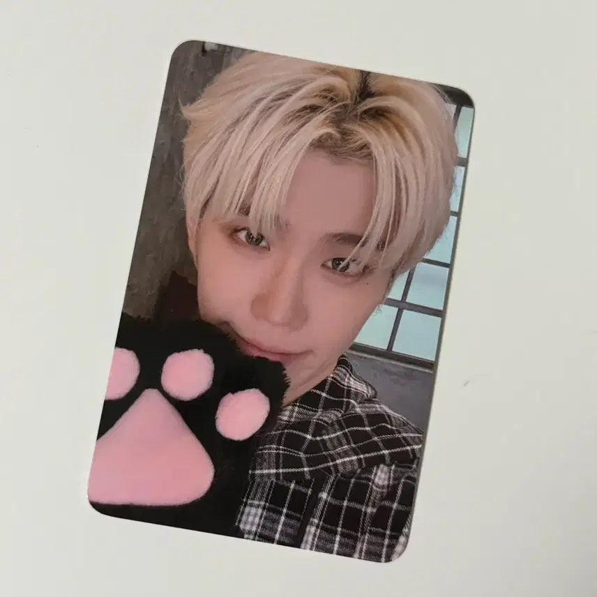 제로즈존 3일차 막콘 태래 포카