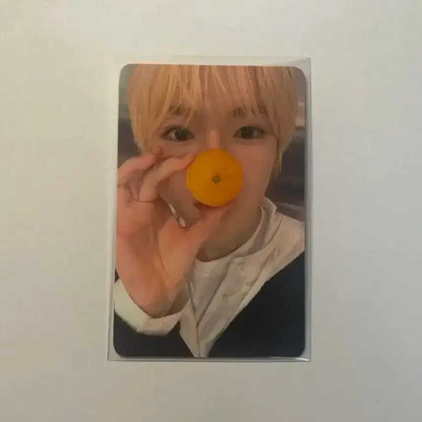 엔리티 위시 사쿠야 컬러 에버라인