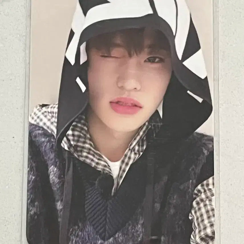 라이즈 공식 슬로건 소희 포카 판매