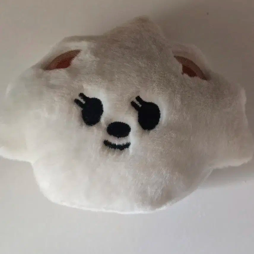 투바투 범규 인형 뿔바투 밤긋 동전지갑